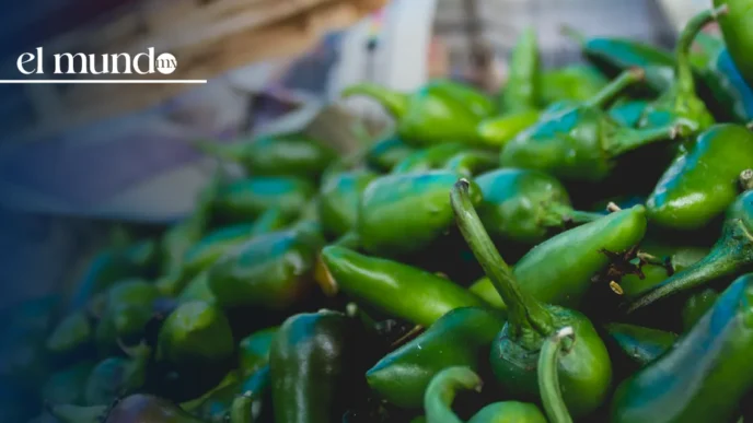 Conoce_los_aspectos_clave_del_Paquete_Económico_y_la_Ley_de