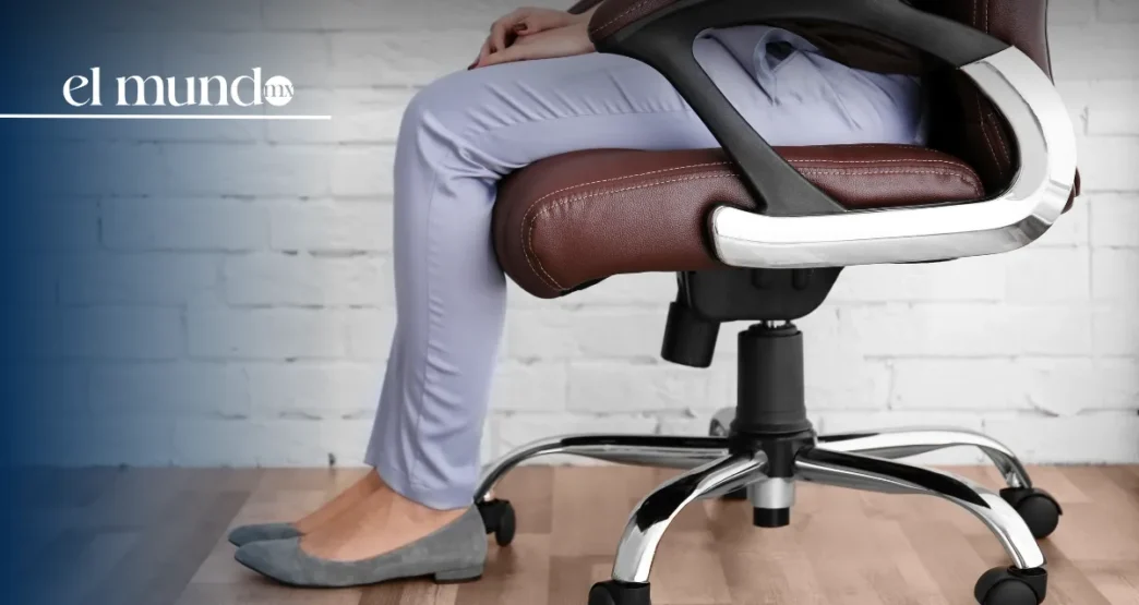 Ley Silla: ¿Qué cambia en su segunda etapa desde el 15 de diciembre de 2025?