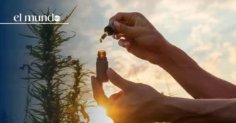 ¿Para qué sirve el CBD y por qué Donald Trump aceleró la reclasificación de la marihuana?