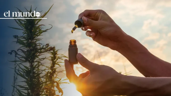 ¿Para qué sirve el CBD y por qué Donald Trump aceleró la reclasificación de la marihuana?