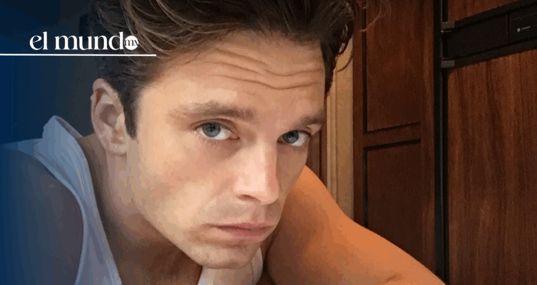 sebastian stan batman 2