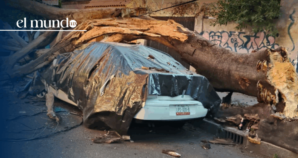 Sismo de 6.5 grados. Muere hombre de 60 años en CDMX hoy 2 de enero de 2026