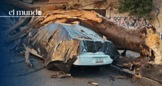 Sismo de 6.5 grados. Muere hombre de 60 años en CDMX hoy 2 de enero de 2026