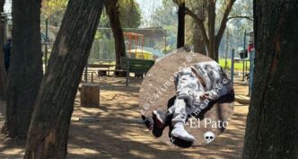 Asesinan a tiros a ex reo en el Velódromo de la alcaldía Venustiano Carranza