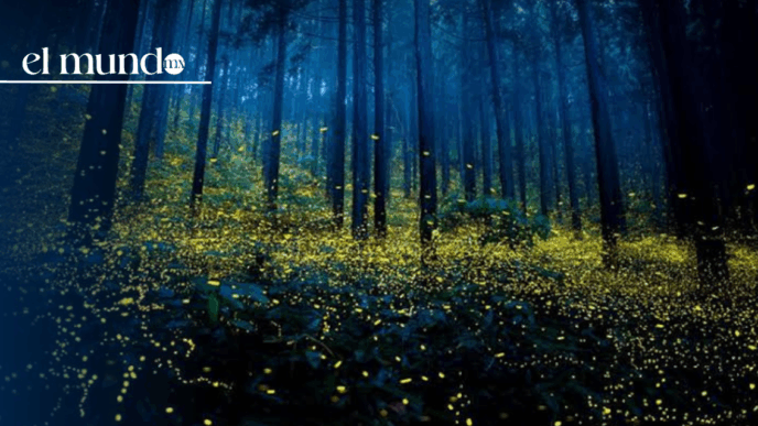 ¿Qué hacer y qué lugares turísticos visitar en Tlaxcala este 2026?