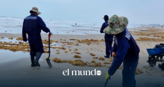 Secretaría Marina dice que bolsas abandonadas en playas de Veracruz tienen sargazo