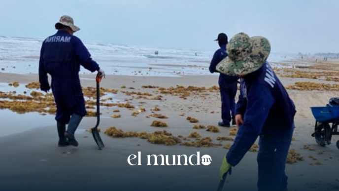 Secretaría Marina dice que bolsas abandonadas en playas de Veracruz tienen sargazo